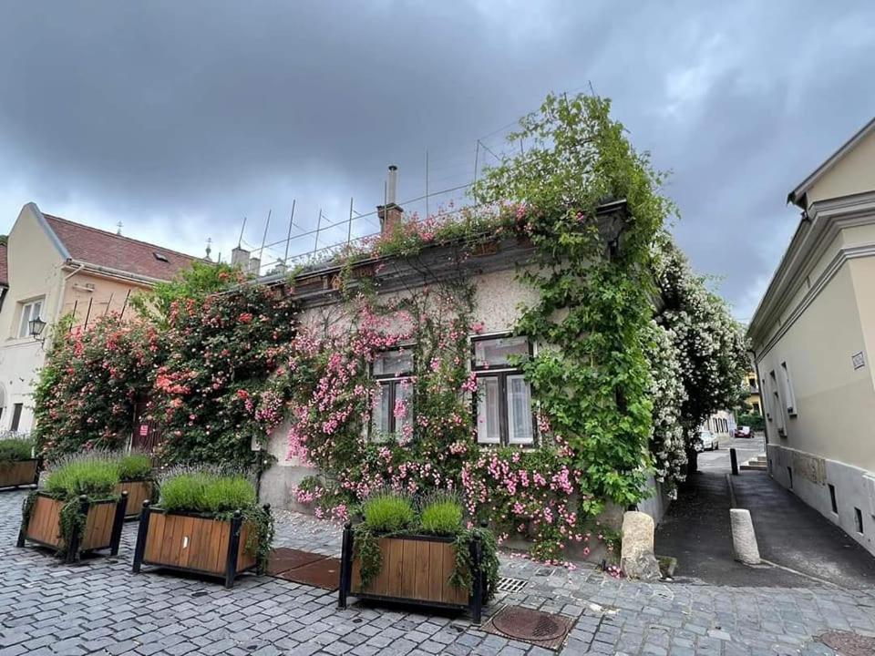 Downtown Romantic セーケシュフェヘールヴァール エクステリア 写真